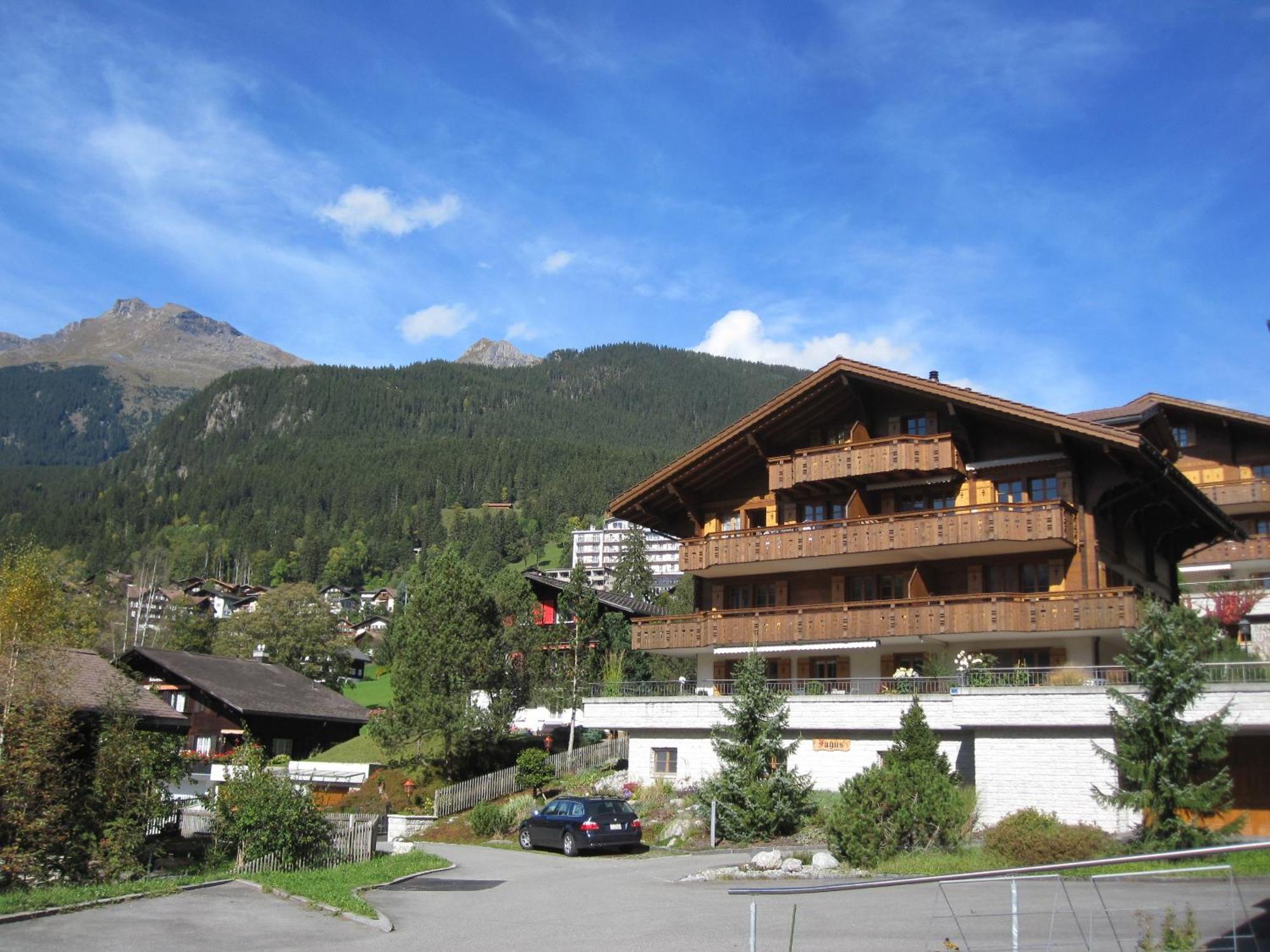 Mom - Alpine Boutique Apartments, Chalet Fagus, Terrace Studio Grindelwald Exteriér fotografie