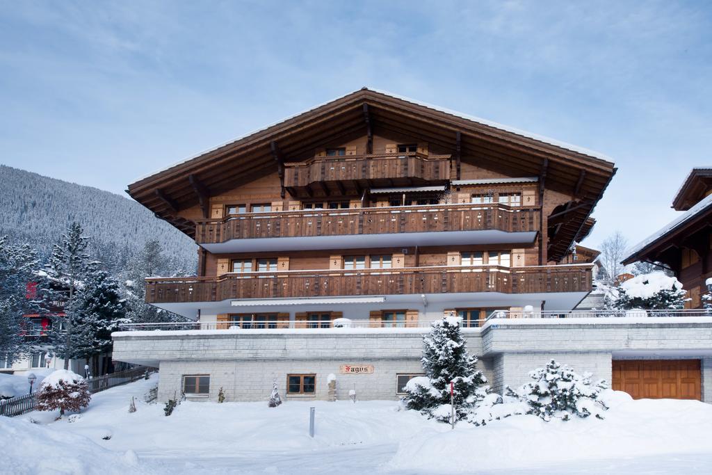 Mom - Alpine Boutique Apartments, Chalet Fagus, Terrace Studio Grindelwald Exteriér fotografie